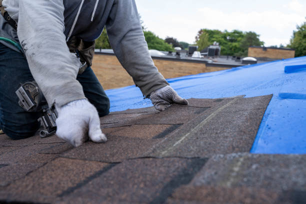 Roof Restoration in Kimberly, AL